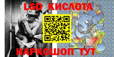 прущие грибы Мариинск