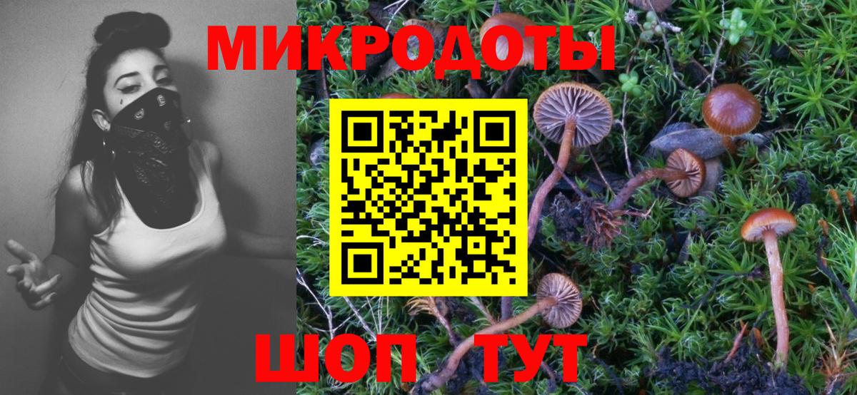Галлюциногенные грибы мицелий Видное